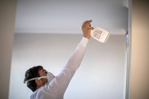 Trusted Dasher, GA Mold Removal Experts