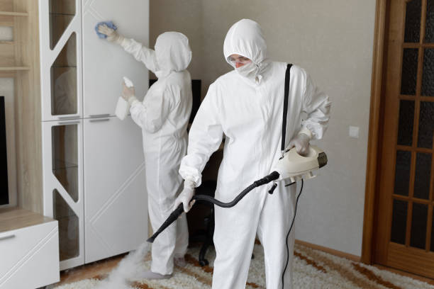 Best Commercial Mold Removal  in Dasher, GA