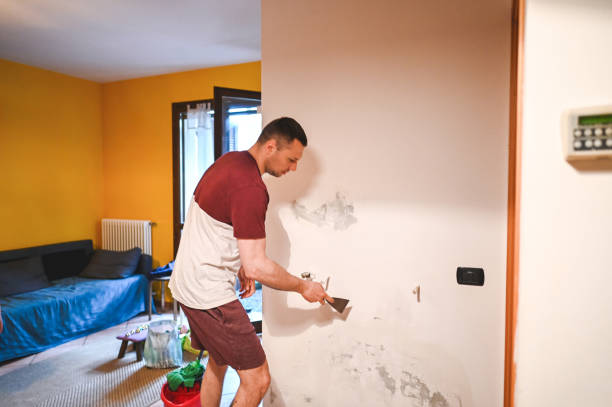 Attic Mold Removal in Dasher, GA